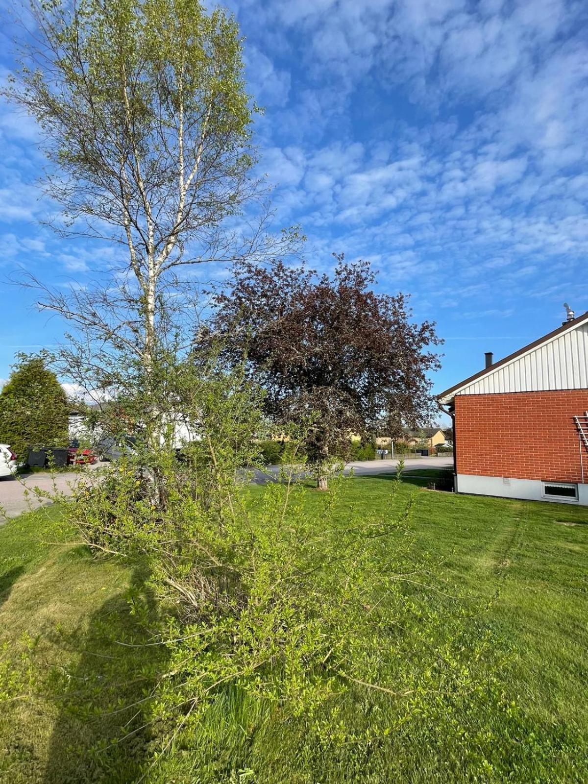 Modern 3 Bed Rooms In Almhult Close To Vaxjo Airport Zewnętrze zdjęcie